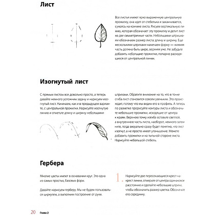 Книга "Пишем пионы, розы и другие цветы акварелью. Пошаговые мастер-классы по живописи", Татьяна Лаптева, -50% - 6