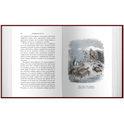 Комплект из 2-х книг "Путешествия Гулливера + Робинзон Крузо", Джонатан Свифт, Даниэль Дефо - 4