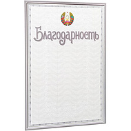 Благодарность С48, А4, 250 г/м2