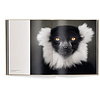 Книга на английском языке "Between Us. Animal Portraits" HB, Vincent Lagrange - 3