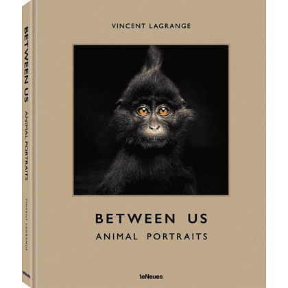 Книга на английском языке "Between Us. Animal Portraits" HB, Vincent Lagrange