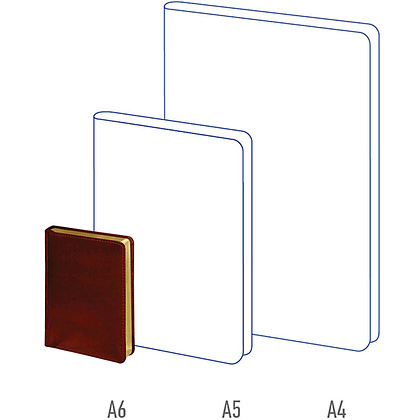 Ежедневник недатированный "xGold", А6, 320 страниц, коричневый - 4