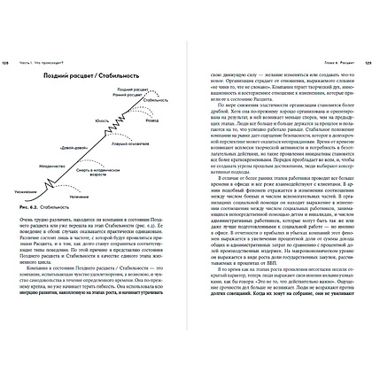 Книга "Управление жизненным циклом компании: Как организации растут, развиваются и умирают и что с этим делать", Ицхак Адизес - 3