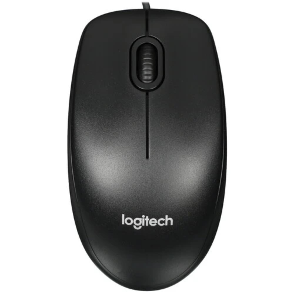 Компьютерная мышь Logitech M100R 